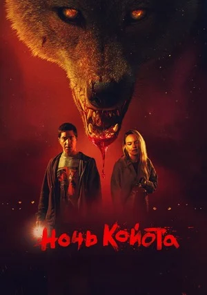 Ночь койота